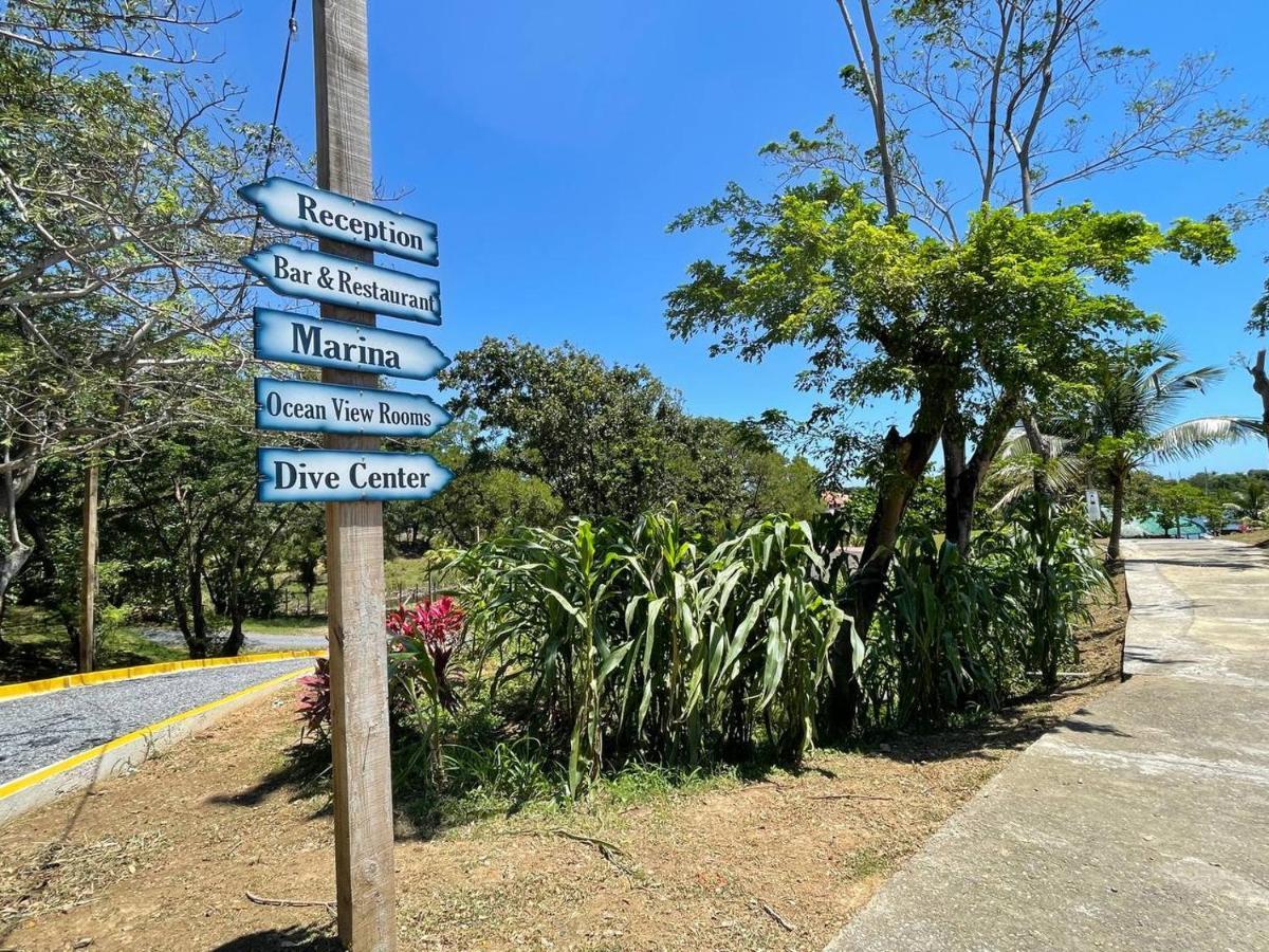 Hotel And Dive Center Roatan Yacht Club French Harbour Zewnętrze zdjęcie